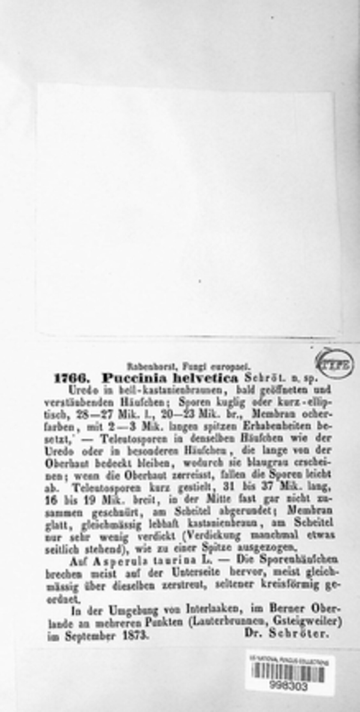 Puccinia helvetica image